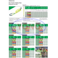 WS-2 Polyester Webbing Slings